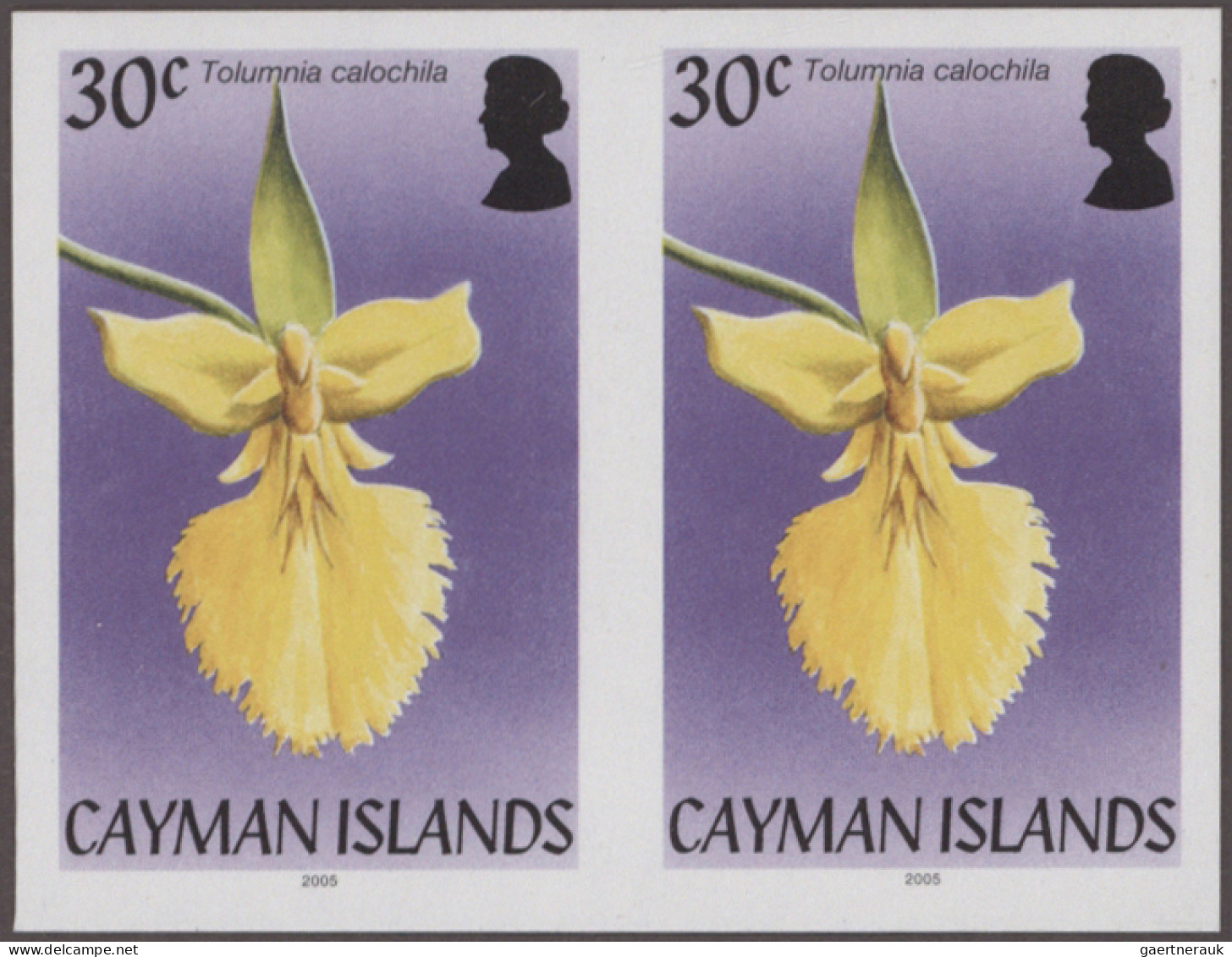 Cayman Islands: 2000/2013. Collection containing 1362 IMPERFORATE stamps (inclus