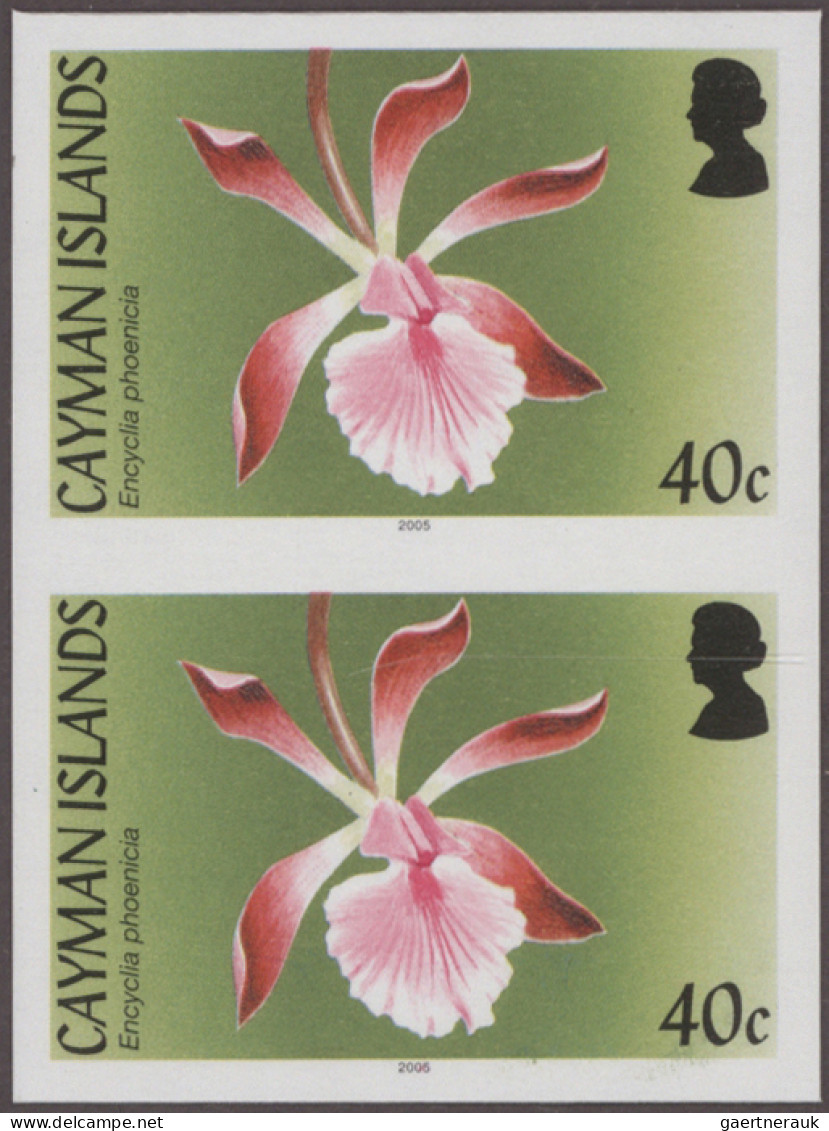 Cayman Islands: 2000/2013. Collection containing 1362 IMPERFORATE stamps (inclus