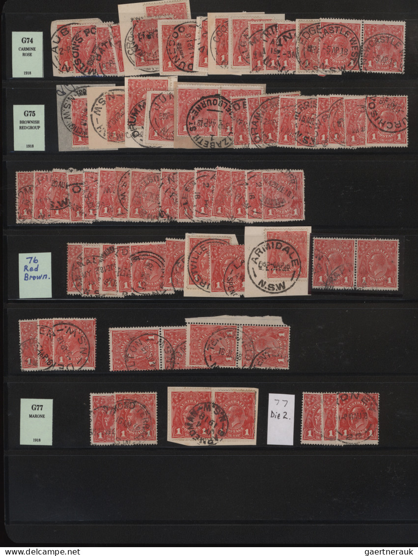 Australia: 1914/1918 Ca., COLORS Of The 1d Red KGV (ACSC 70, 71 & 72): Very Comp - Collezioni