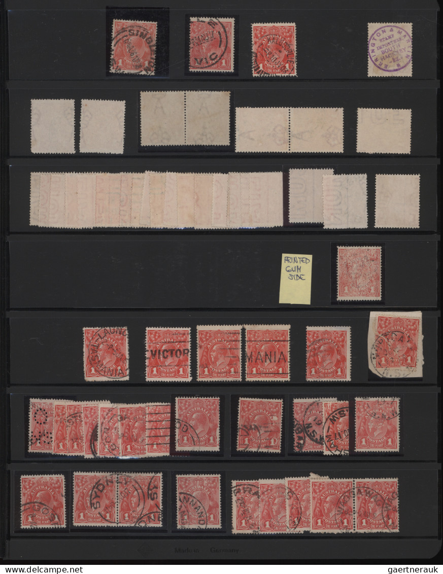 Australia: 1914/1919, 1d Red KGV (ACSC 70, 71 & 72): SPECIALITIES - Collection A - Collezioni