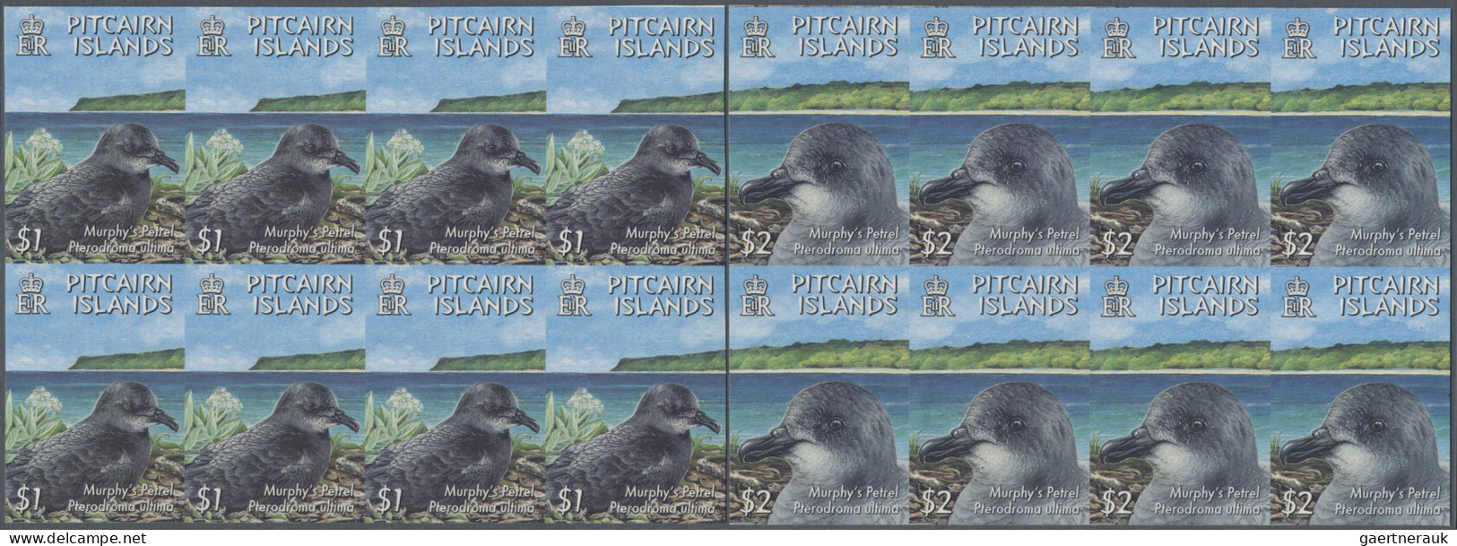 Pitcairn: 2002/2006. Collection Containing 452 IMPERFORATE Stamps Concerning Var - Pitcairninsel