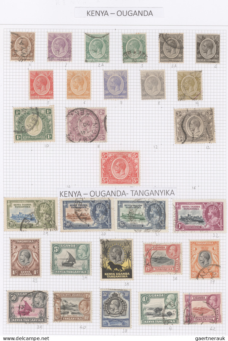 British Colonies: 1855/1970 (ca.), Used And Mint Collection In Four DAVO Albums, - Altri & Non Classificati