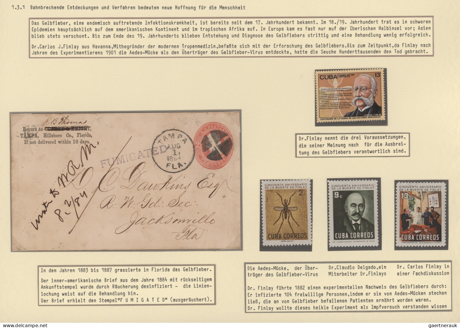 Disinfection Mail: 1716/1911, extraordinary exhibit collection of 52 disinfected