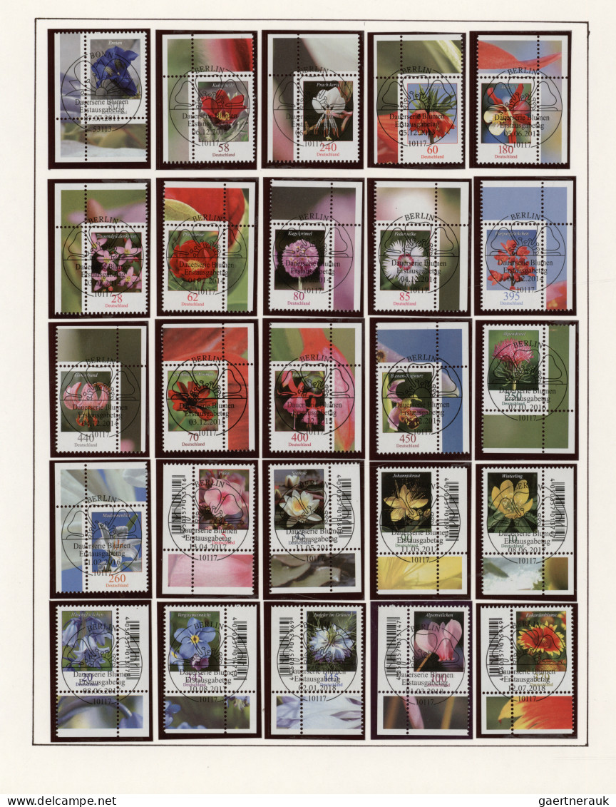 Thematics:  flora, botany, bloom: 1950/2020 (ca.), Flowers/Plants, extraordinary