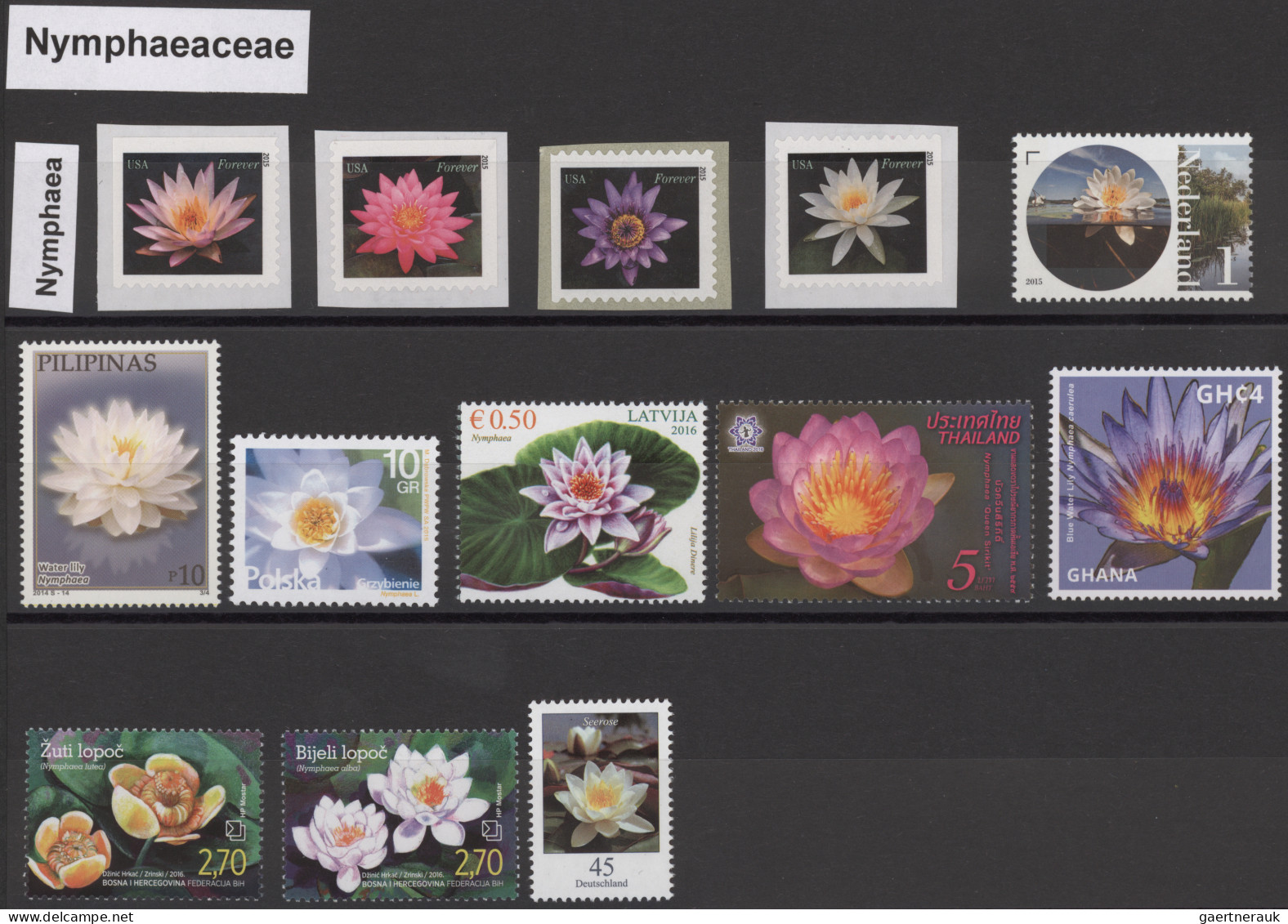 Thematics: Flora-orchids: 1960/2010 (ca.), PFLANZEN-Sammlung Auf Absolutem Weltn - Orchideen