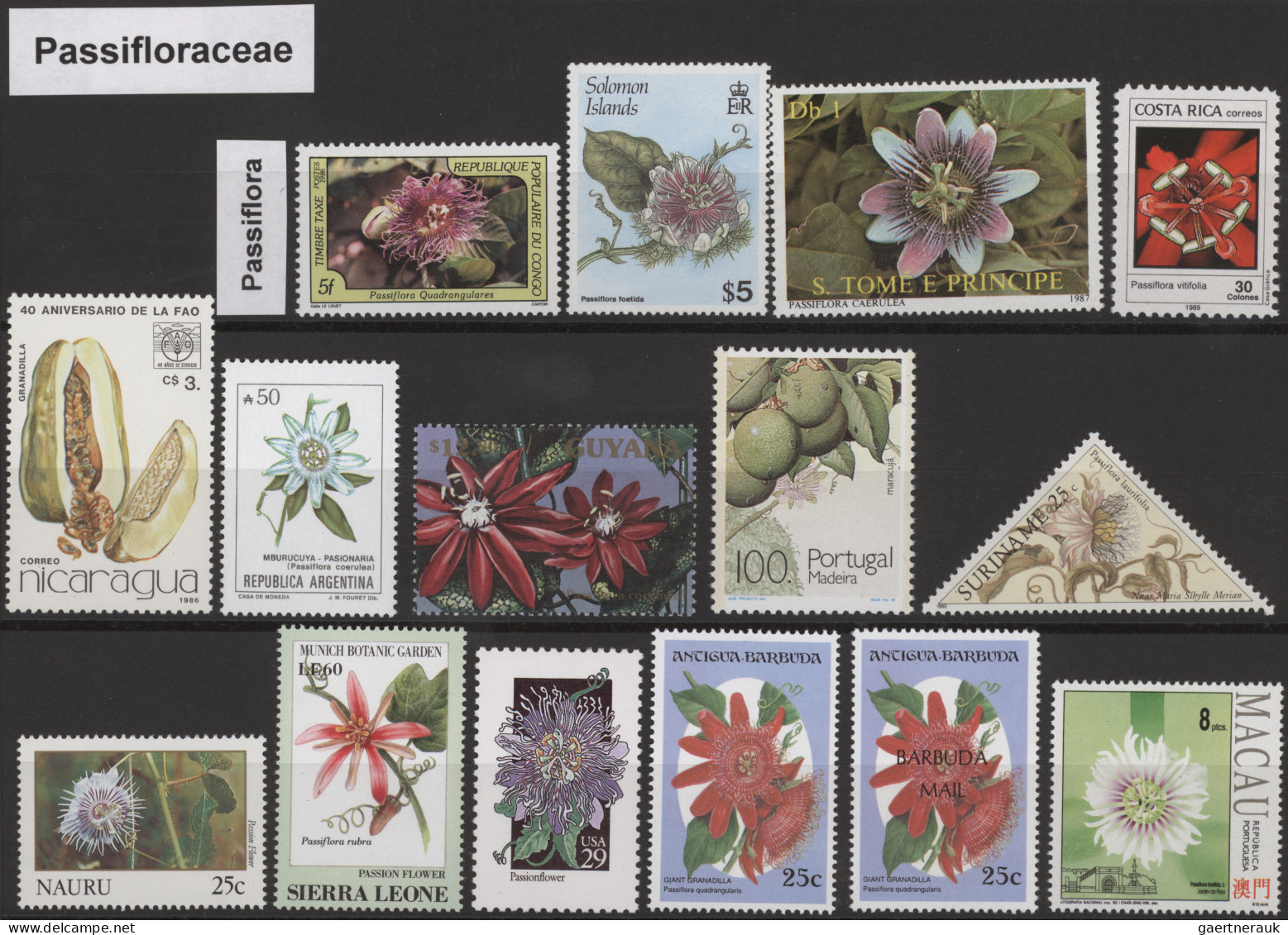 Thematics: Flora-orchids: 1960/2010 (ca.), PFLANZEN-Sammlung Auf Absolutem Weltn - Orchideen