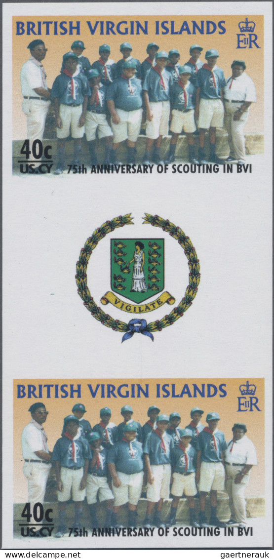 Thematics: Scouts: 2007, British Virgin Islands. Lot With 72 IMPERFORATE, NON-IS - Altri & Non Classificati