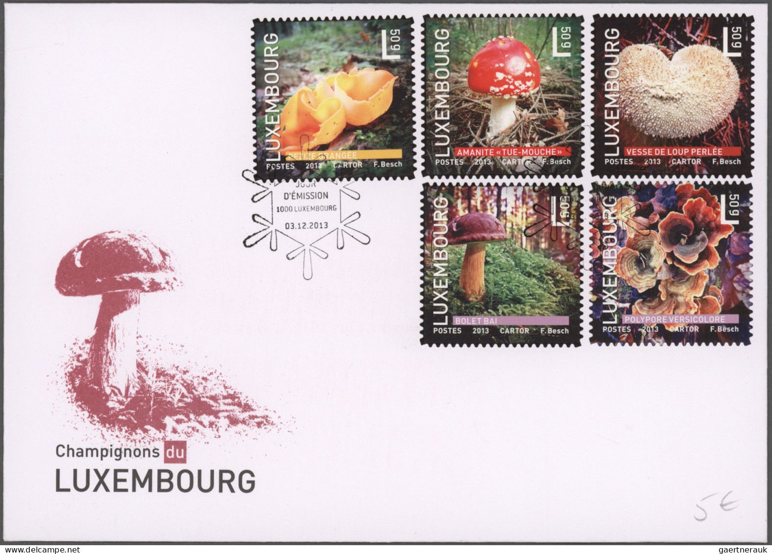 Thematics: Mushrooms: 1893/2020, Comprehensive Holding Of Letters, Picture Postc - Paddestoelen