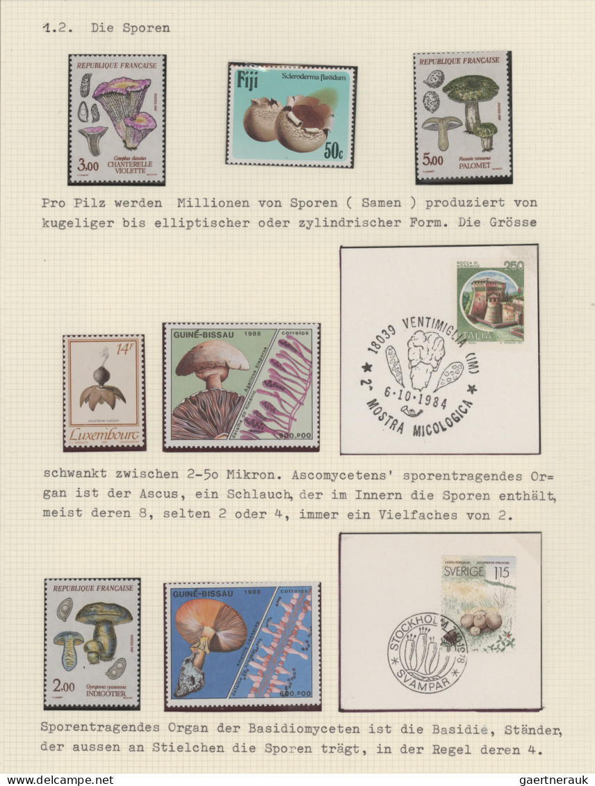 Thematics: Mushrooms: 1900/2006, Extensive Thematic Collection THE SECRET WORLD - Champignons