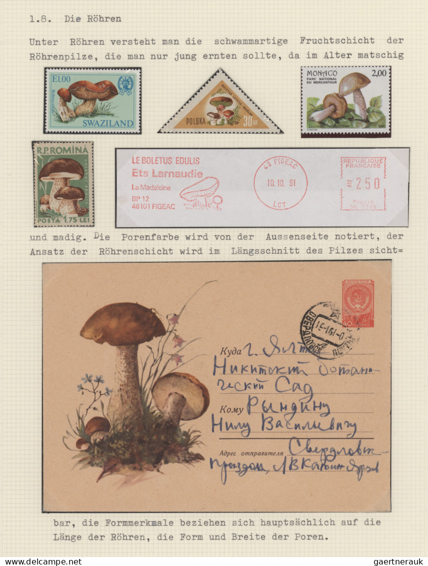 Thematics: Mushrooms: 1900/2006, Extensive Thematic Collection THE SECRET WORLD - Mushrooms