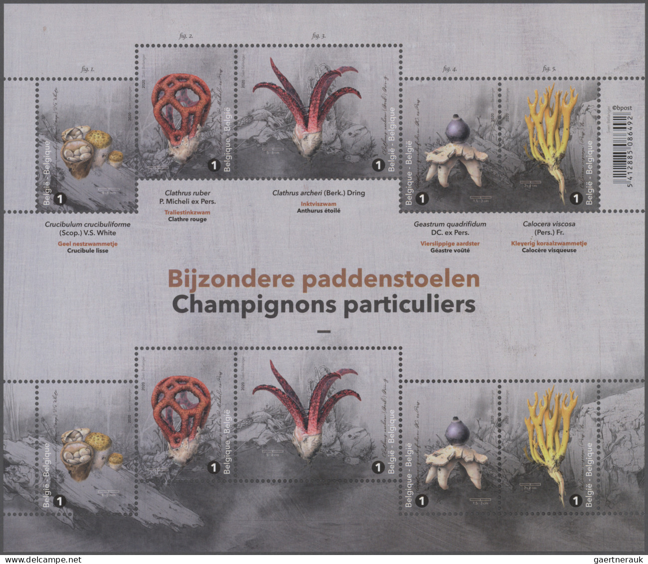 Thematics: Mushrooms: 1950/2015 (approx.), Comprehensive Accumulation With Mint - Pilze