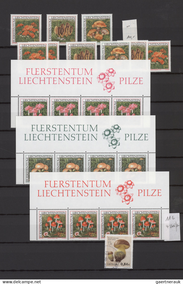 Thematics: Mushrooms: 1960/2000 (approx.), Comprehensive Stock Of Stamps, Mint A - Funghi