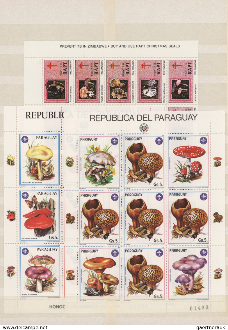 Thematics: Mushrooms: 1960/2000 (approx.), Comprehensive Stock Of Stamps, Mint A - Funghi