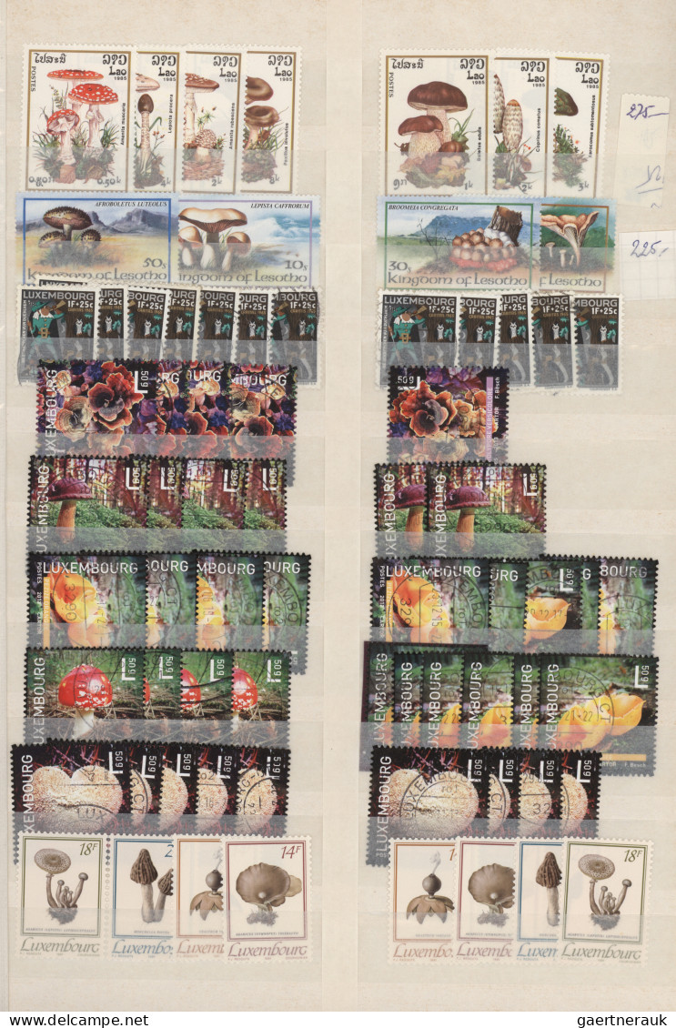 Thematics: mushrooms: 1960/2000 (approx.), Comprehensive stock of stamps, mint a