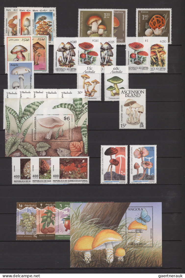 Thematics: mushrooms: 1960/2000 (approx.), Comprehensive stock of stamps, mint a