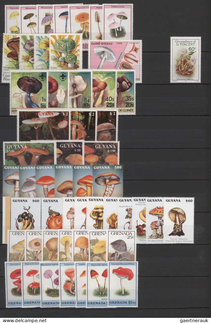 Thematics: mushrooms: 1960/2000 (approx.), Comprehensive stock of stamps, mint a