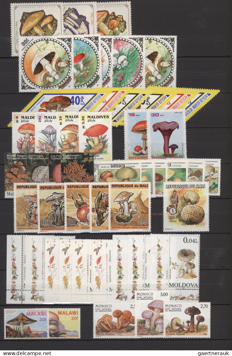 Thematics: mushrooms: 1960/2000 (approx.), Comprehensive stock of stamps, mint a