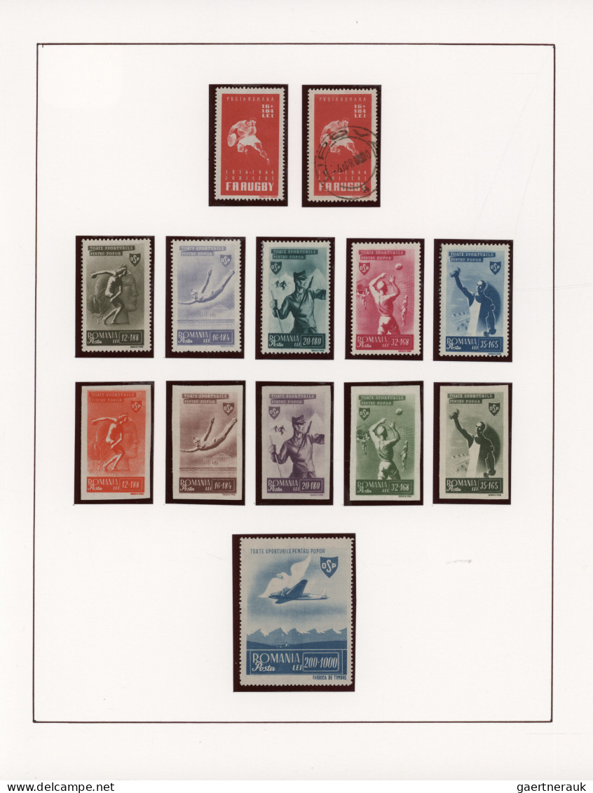 Thematics - Sport: 1920/2020 (ca.), Extraordinary Collection On Apprx. 320 Album - Other & Unclassified