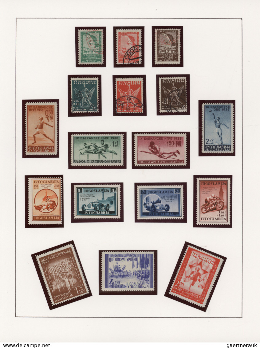 Thematics - Sport: 1920/2020 (ca.), extraordinary collection on apprx. 320 album