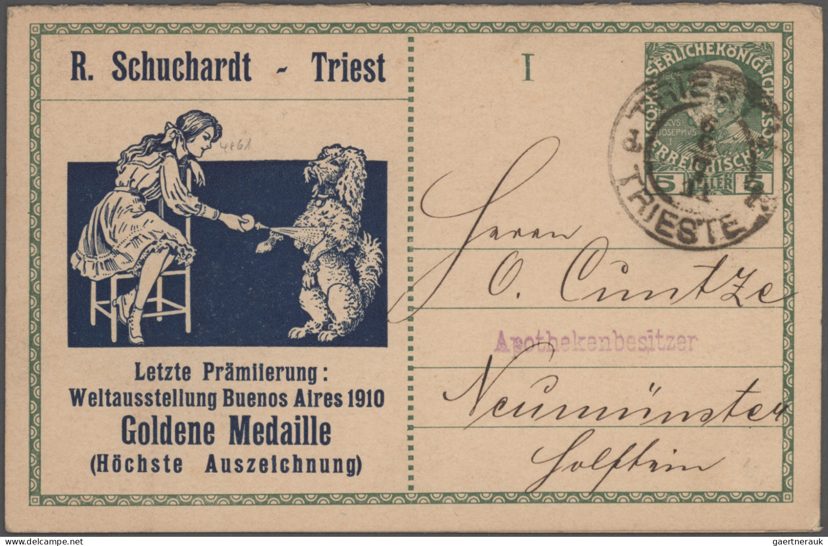 Thematics: Animals-dogs: 1900/2000 (ca.), Sophisticated Collection/balance Of Ap - Hunde