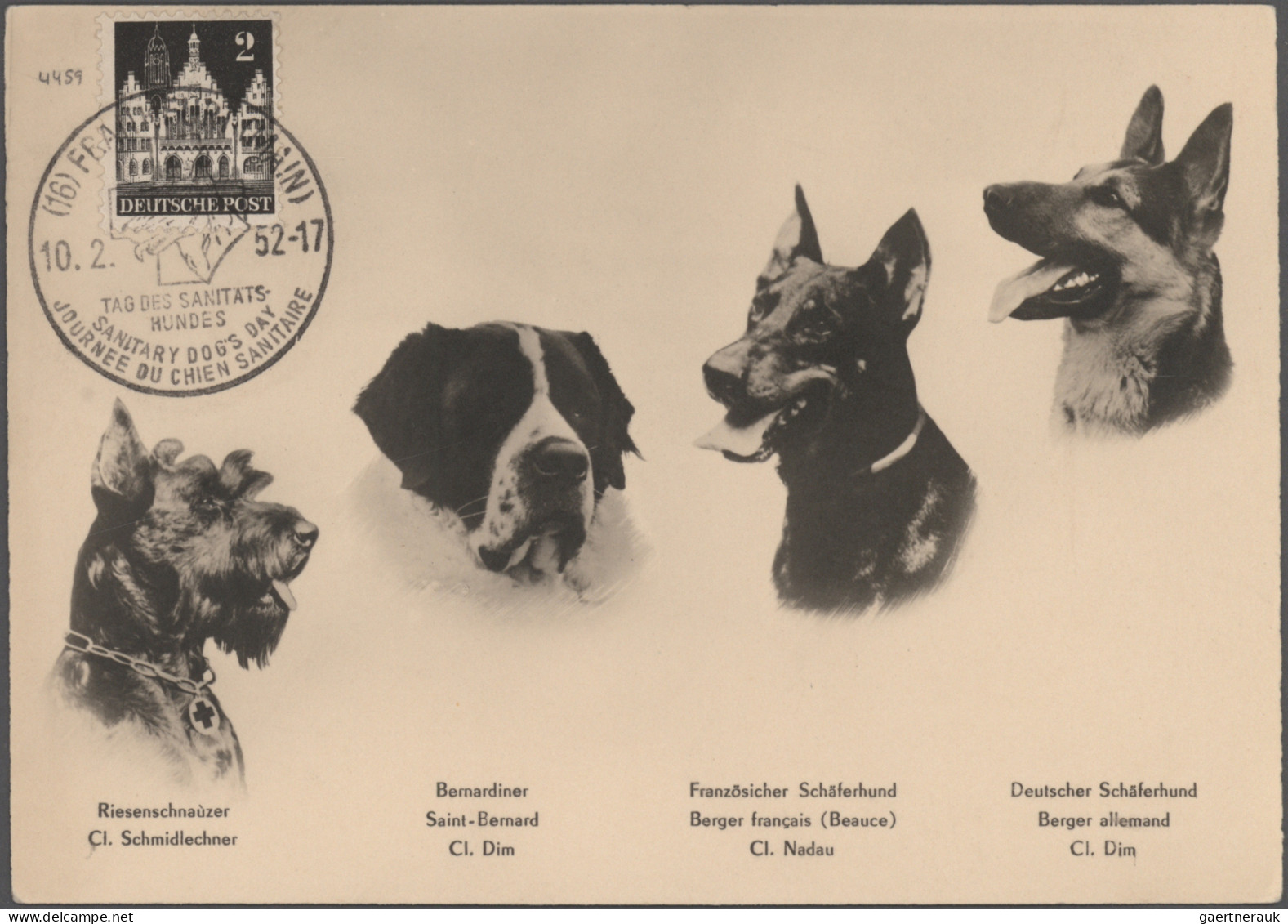 Thematics: Animals-dogs: 1900/2000 (ca.), Sophisticated Collection/balance Of Ap - Cani