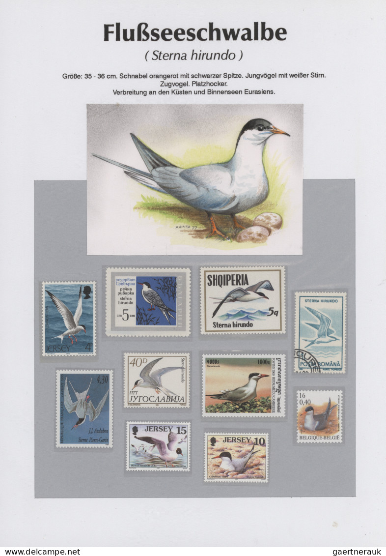 Thematics: Animals-birds: 1960/2000 (ca.), Comprehensive Thematic Collection Wit - Otros & Sin Clasificación