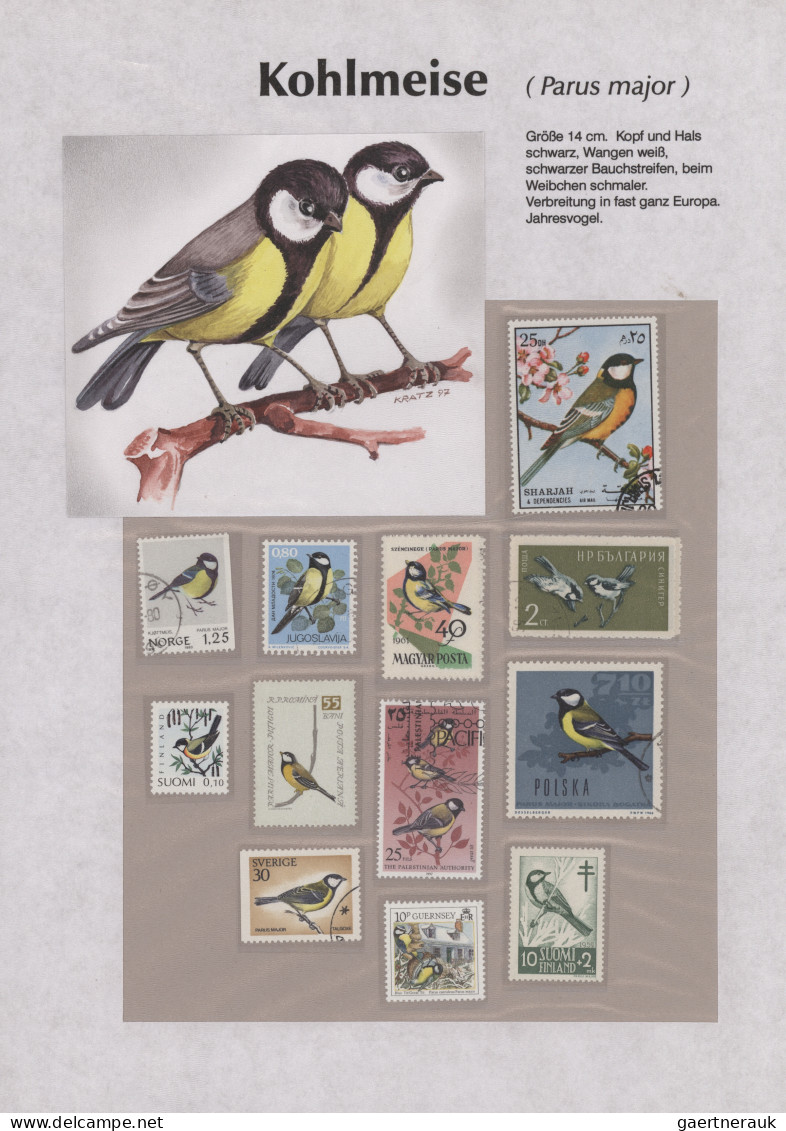 Thematics: Animals-birds: 1960/2000 (ca.), Comprehensive Thematic Collection Wit - Other & Unclassified