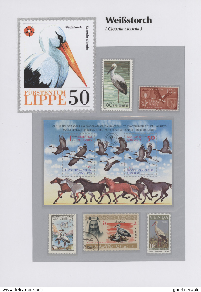 Thematics: Animals-birds: 1960/2000 (ca.), Comprehensive Thematic Collection Wit - Andere & Zonder Classificatie