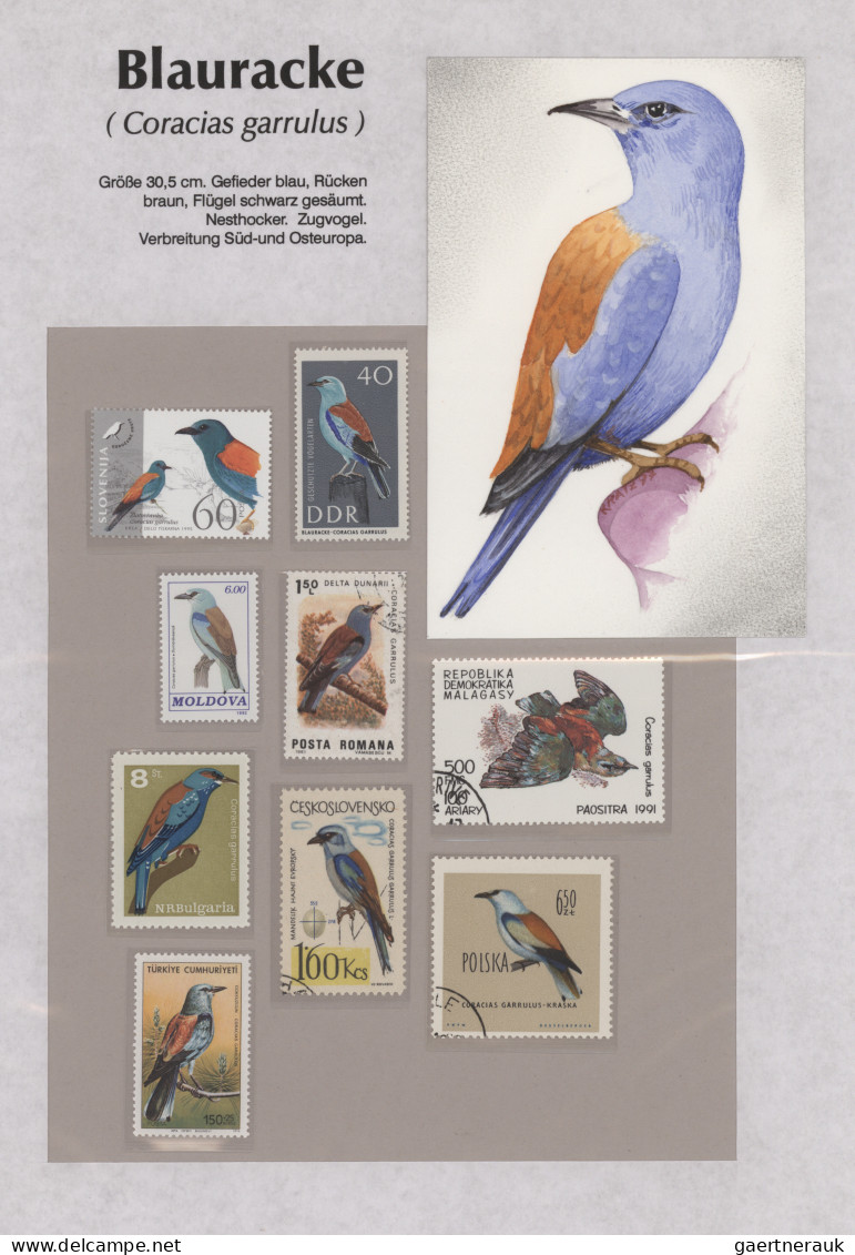 Thematics: animals-birds: 1960/2000 (ca.), comprehensive thematic collection wit