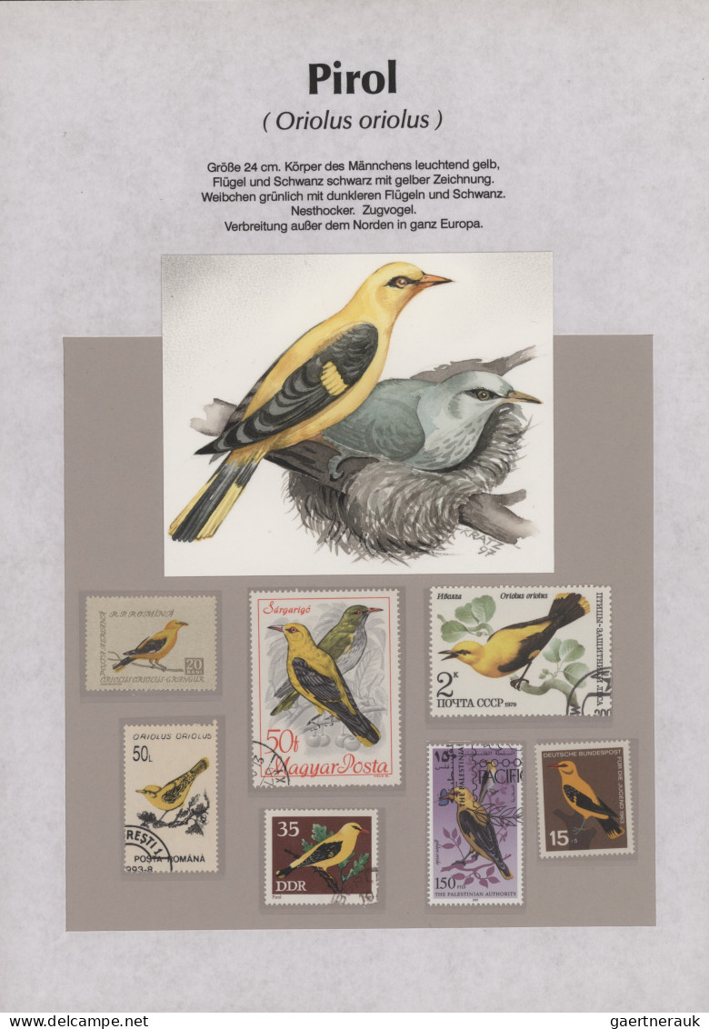 Thematics: animals-birds: 1960/2000 (ca.), comprehensive thematic collection wit