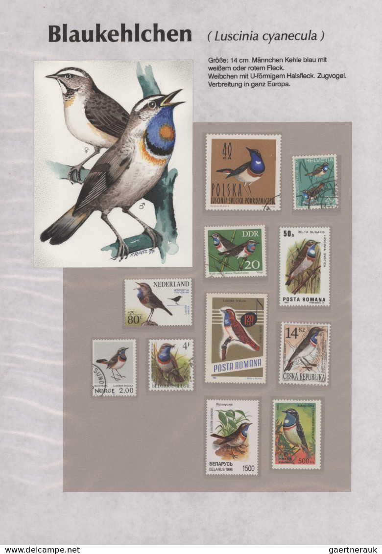 Thematics: animals-birds: 1960/2000 (ca.), comprehensive thematic collection wit