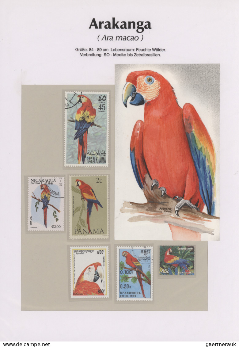 Thematics: animals-birds: 1960/2000 (ca.), comprehensive thematic collection wit