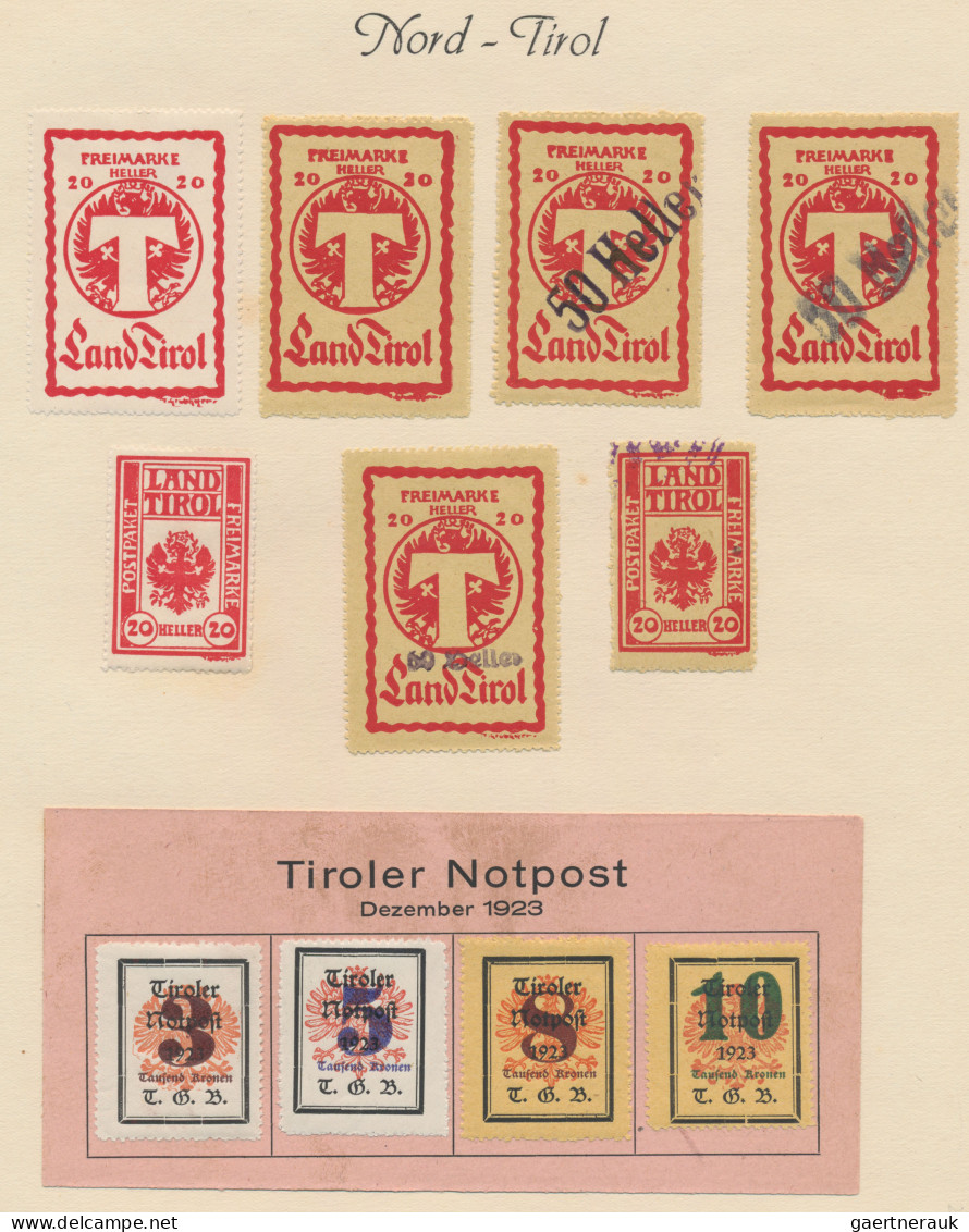 Italy - Trentino: 1918/1923 TYROL: Fine Collection Of About 260 Mint Stamps Of T - Trente