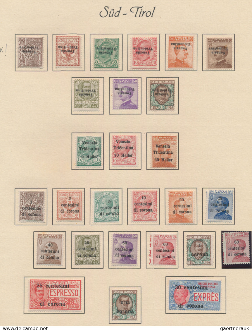 Italy - Trentino: 1918/1923 TYROL: Fine Collection Of About 260 Mint Stamps Of T - Trente