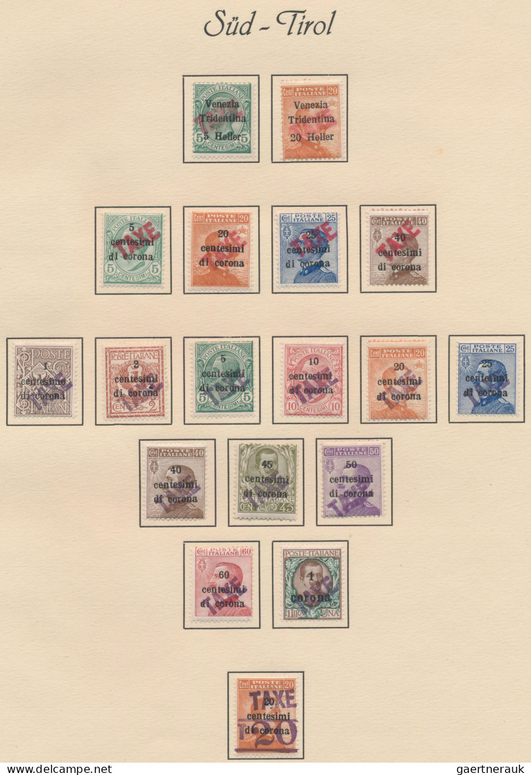 Italy - Trentino: 1918/1923 TYROL: Fine collection of about 260 mint stamps of t