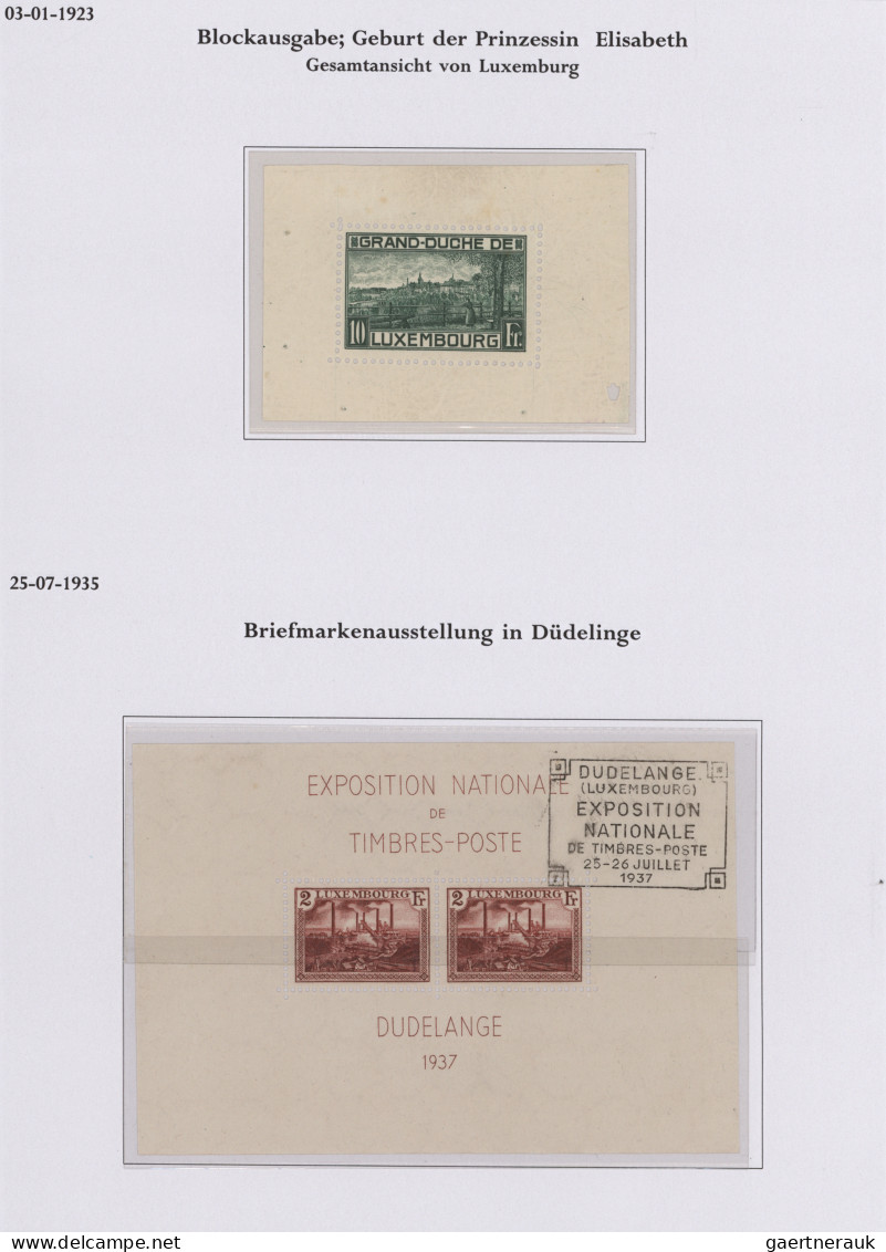 Luxembourg: 1852/1937, Used And Unused Collection On Individually Arranged Album - Altri & Non Classificati