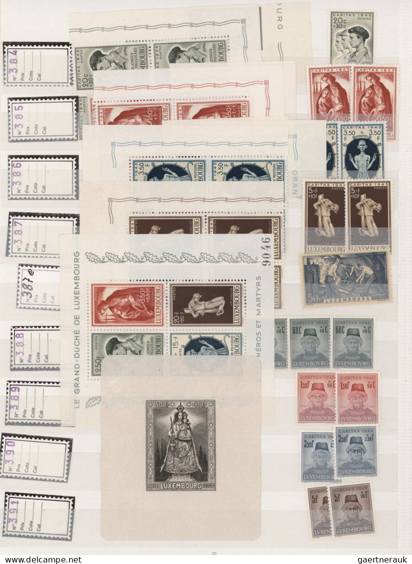 Luxembourg: 1921/1995, Mainly MNH Stock Neatly Sorted In Two Albums, From Some 1 - Autres & Non Classés