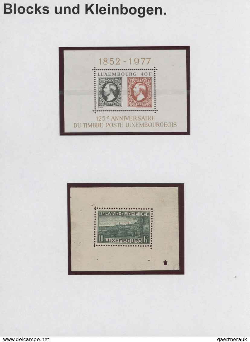 Luxembourg: 1923/1995, Mint Assortment Of Mini Sheets Incl. 1923 Princess Souven - Andere & Zonder Classificatie