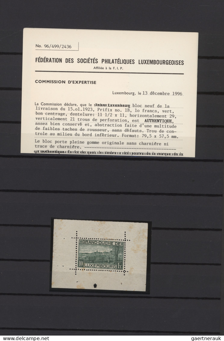 Luxembourg: 1923/1998, mint and used stock of souvenir sheets in a stockbook, fr