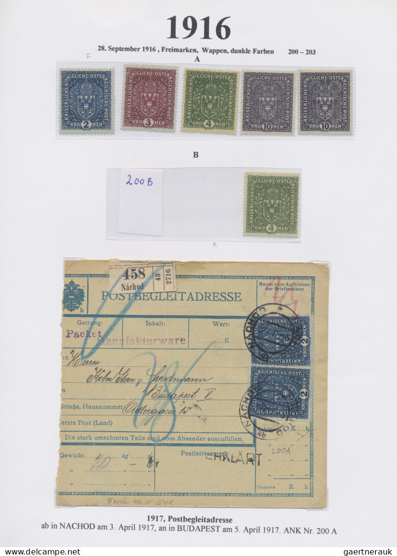 Österreich: 1867/1918, Spezial-Sammlung in 2 Ordnern, der Hauptwert liegt in dem