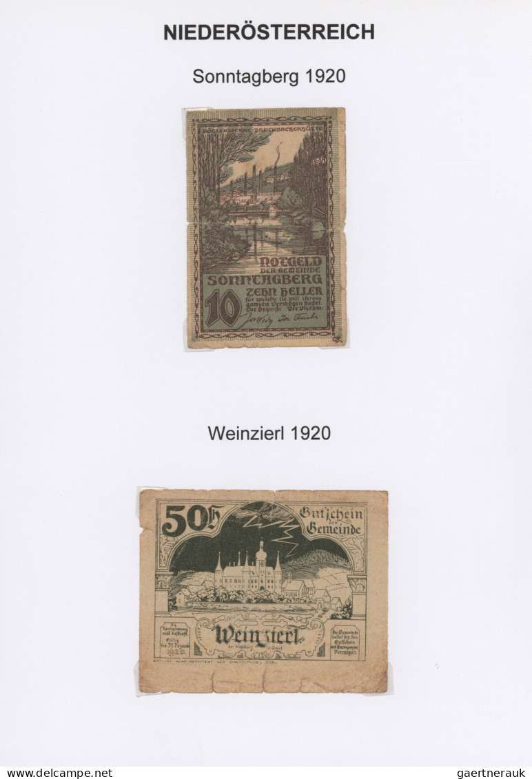 Österreich - Besonderheiten: BANKNOTEN UND NOTGELD 1919-1924 (ca), saubere Samml