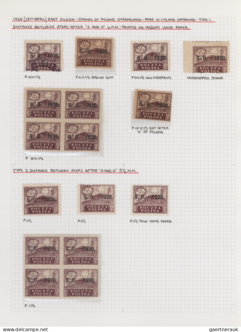 Poland: 1919/1923, Specialised Collection Of Apprx. 1.220 Stamps Neatly Arranged - Used Stamps