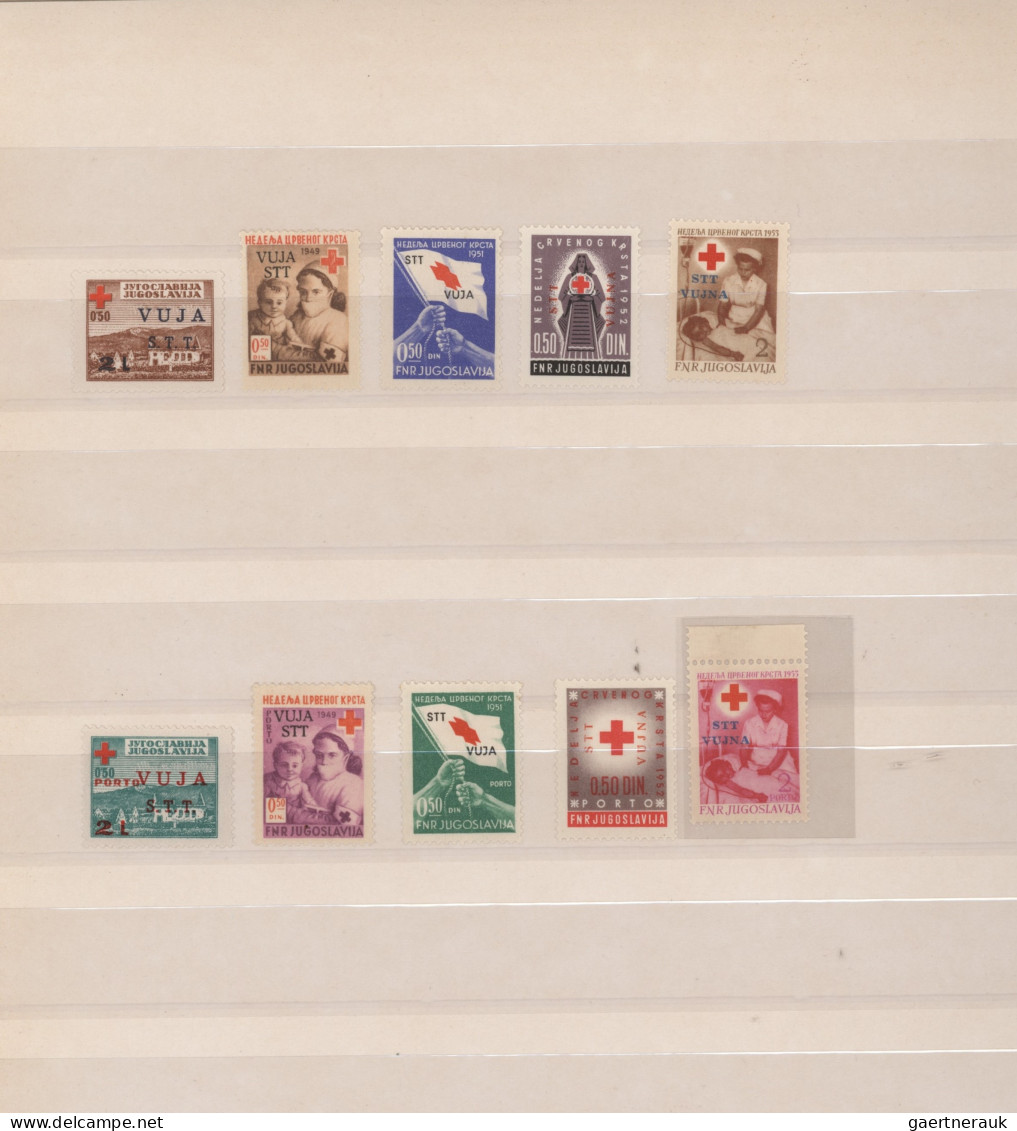 Trieste - Zone B: 1945/1955 (ca), Stock Book With A Mint Never Hinged Collection - Usati