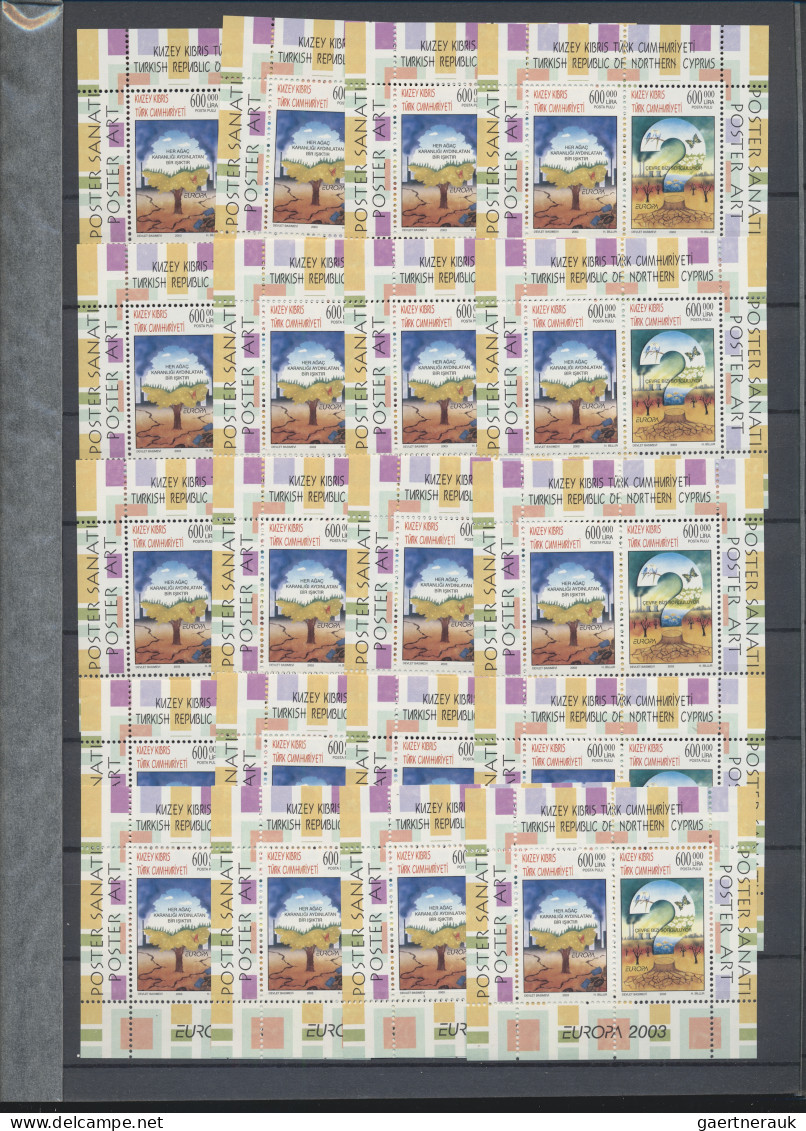 Turkish Cyprus: 2003/2004 Postfrische Blöcke Als Investorenlos, Bl 21 (200 X), B - Nuevos