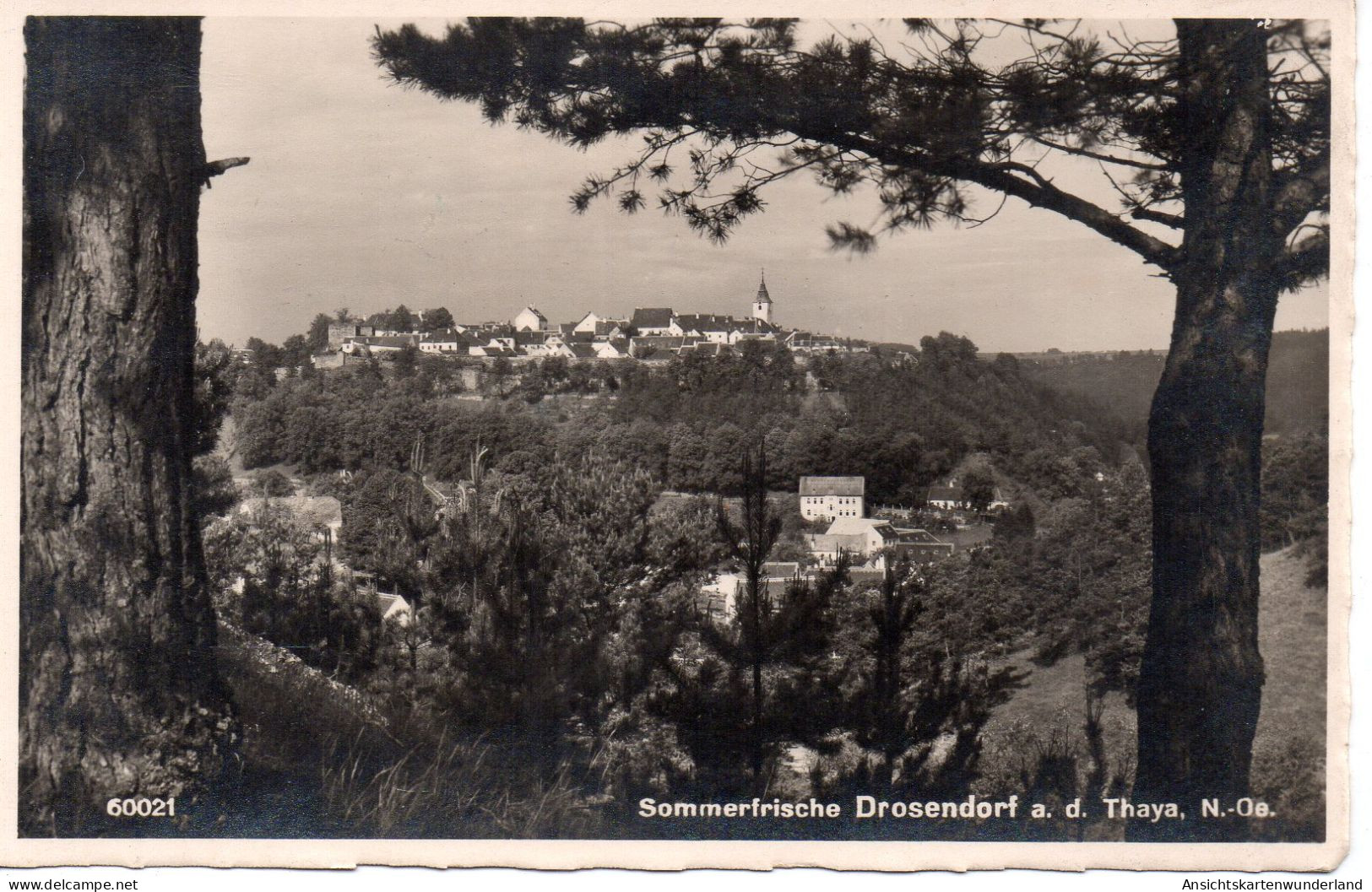 Sommerfrische Drosendorf A. D. Thaya Fernansicht (13057) - Drosendorf-Zissersdorf