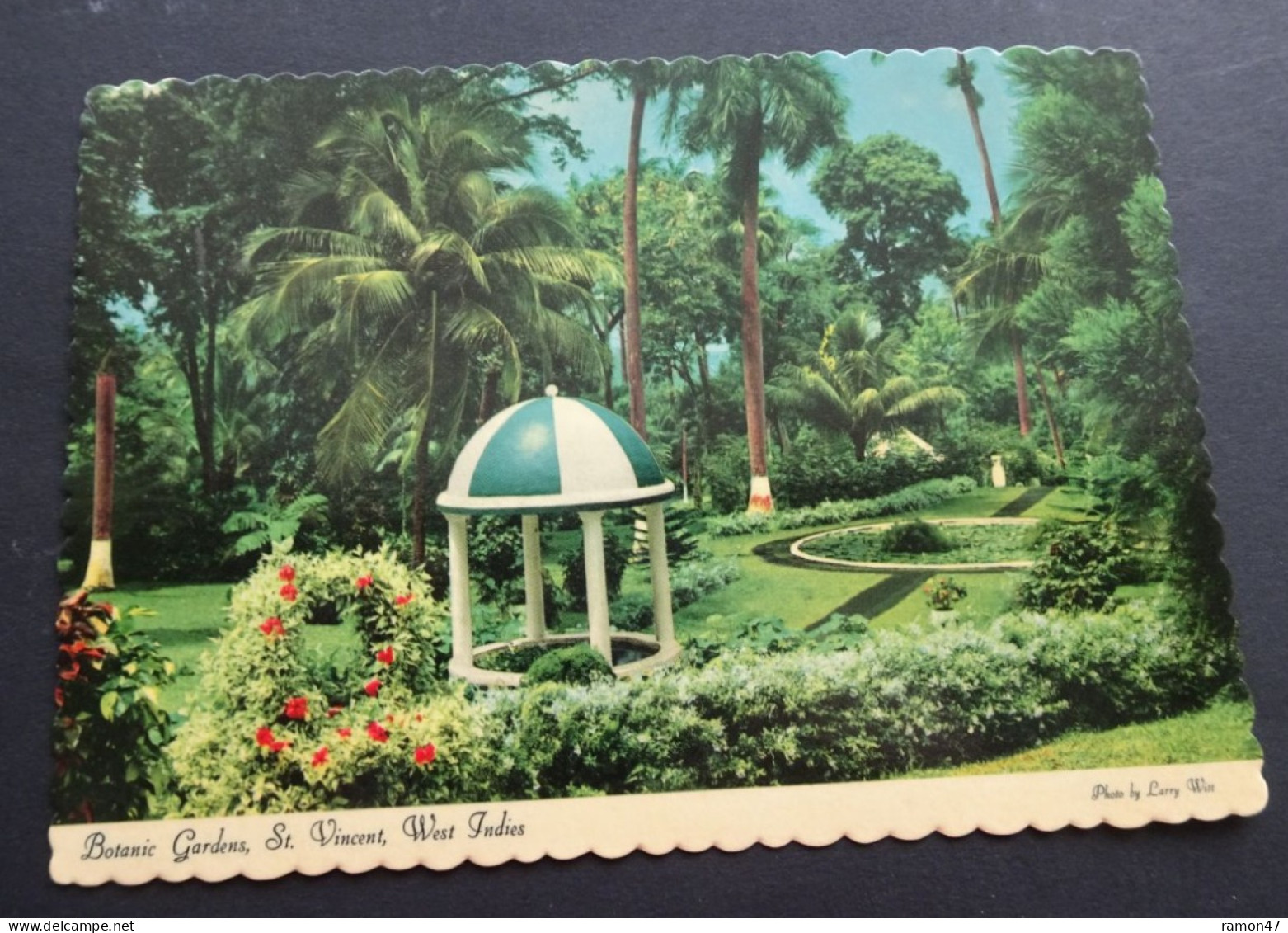 St. Vincent - Botanic Gardens - Photo Larry Witt - Dexter Press - Publisher Reliance Printery, St. Vincent, # DT-53655-C - Saint-Vincent-et-les Grenadines