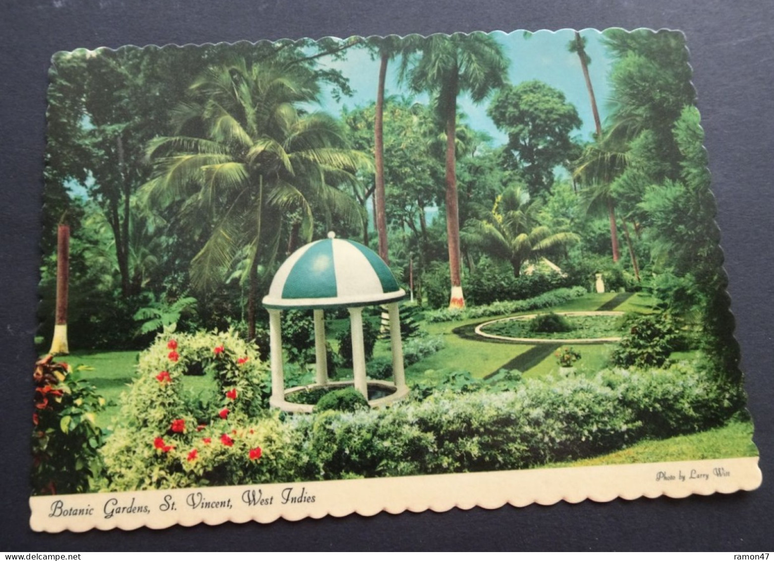 St. Vincent - Botanic Gardens - Photo Larry Witt - Dexter Press - Publisher Reliance Printery, St. Vincent, # DT-53655-C - Saint Vincent En De Grenadines