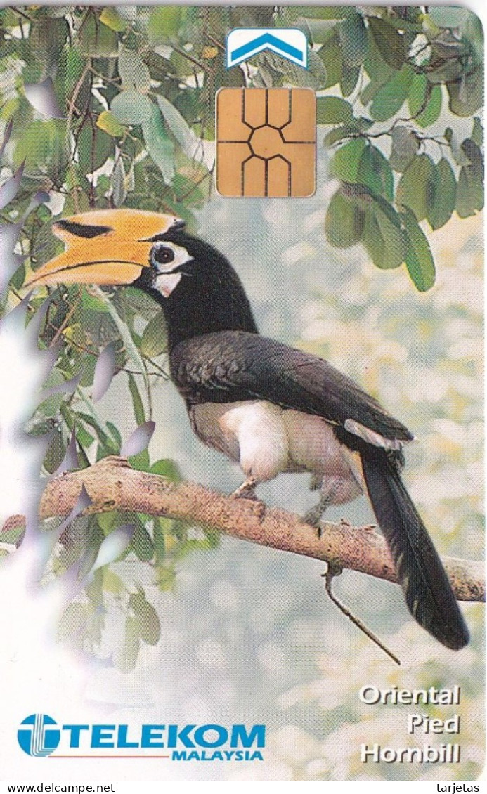 TARJETA DE MALASIA DE UN HORNBILL (BIRD-PAJARO) - Otros & Sin Clasificación