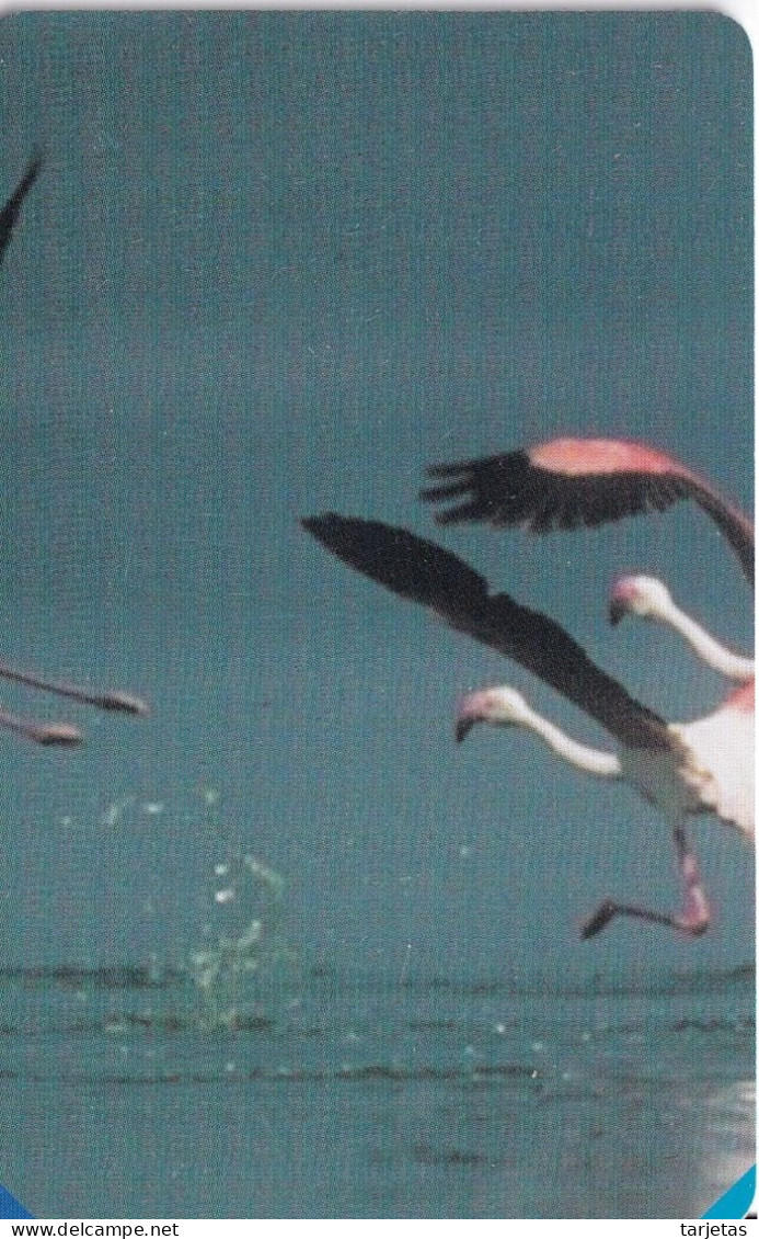 TARJETA DE SUDAFRICA DE UN FLAMENCO (BIRD-PAJARO) FLAMINGO (PUZZLE) - Otros & Sin Clasificación