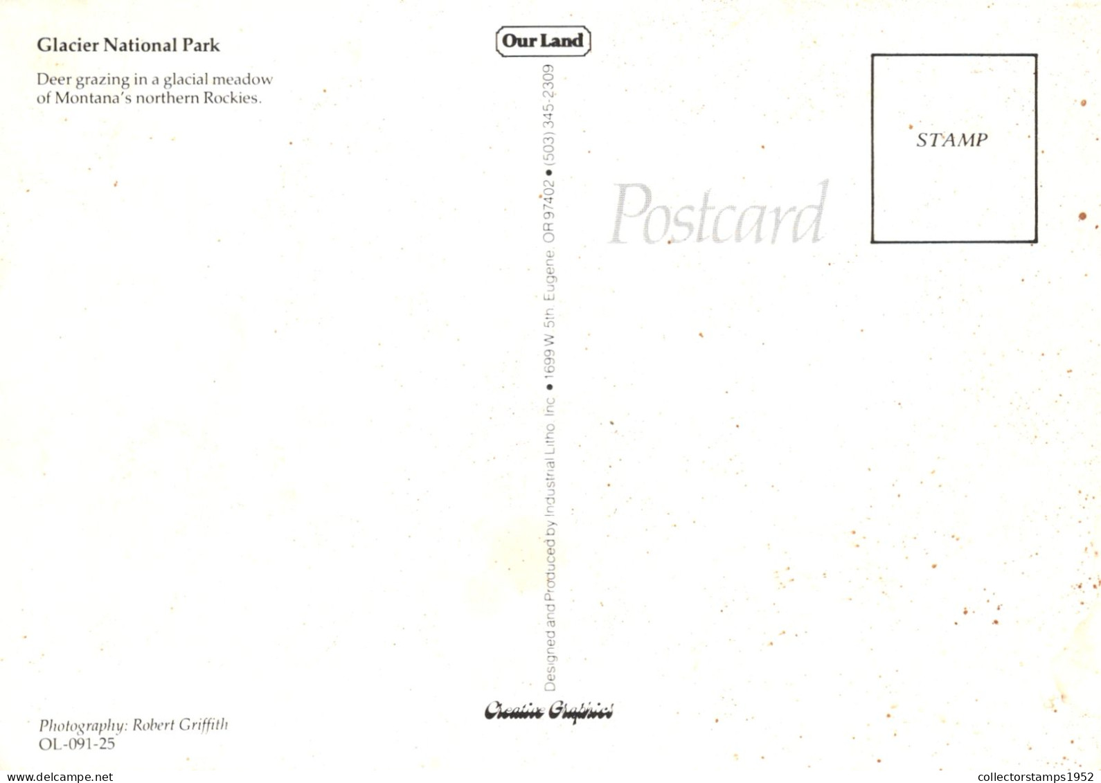 UNITED STATES, MONTANA, GLACIER NATIONAL PARK, DEER GRAZING IN A GLACIAL MEADOW, PANORAMA, MOUNTAIN - Other & Unclassified